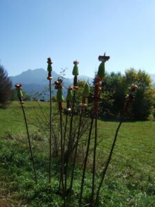 Fotogalerie - Italien Piemont Walliser Alpen