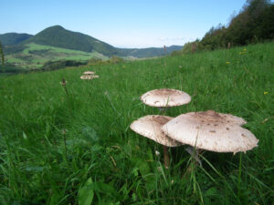 Fotogalerie - Italien Piemont Walliser Alpen