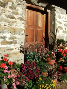 Südtirol Bauernhausblumen im Ultental - Sento Wanderreisen