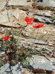 Fotogalerie - Italien Piemont Walliser Alpen