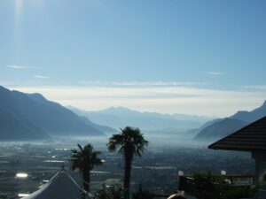 Südtirol Etschtal mit Palmen - Sento Wanderreisen