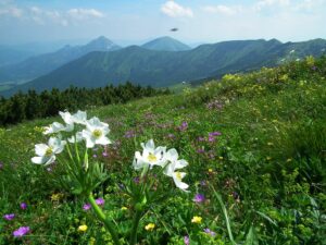 Slowakei Mala Fatra – Sento Wanderreisen