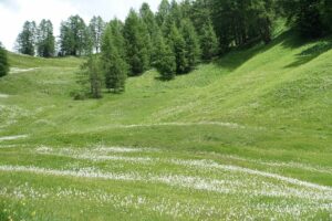 Fotogalerie - Südtirol Dolomiten Lungiarü