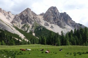 Fotogalerie - Italien Piemont Walliser Alpen
