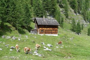 Fotogalerie - Südtirol Dolomiten Lungiarü