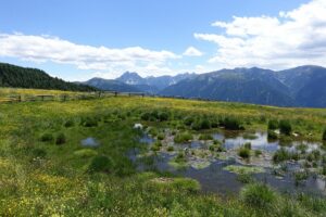 Fotogalerie - Südtirol Dolomiten Lungiarü