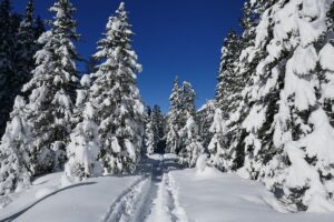 Fotogalerie - Italien Piemont Walliser Alpen