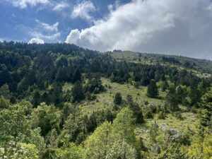 Albanien Llogora-NP Berge - Sento Wanderreisen