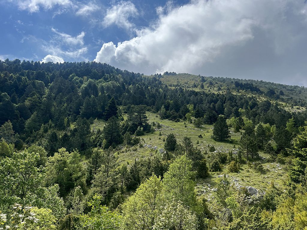 Albanien Llogora-NP Berge - Sento Wanderreisen