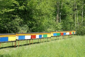 Fotogalerie - Südtirol Dolomiten Lungiarü