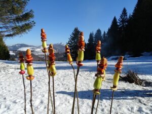 Fotogalerie - Südtirol Dolomiten Lungiarü