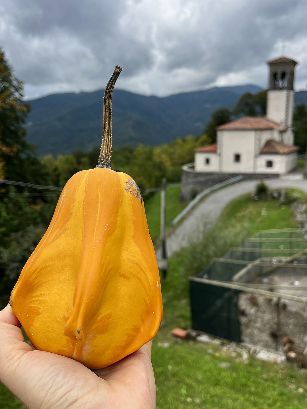 Wandern Italien Friaul Natisone - Kürbis Slow Food 1 - Sento Wanderreisen