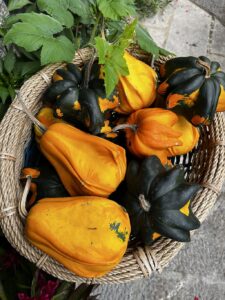 Wandern Italien Friaul Natisone - Kürbis Slow Food - Sento Wanderreisen