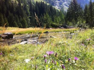 Fotogalerie - Italien Basilikata mit Matera
