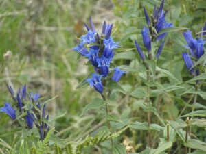 Fotogalerie - Italien Piemont Valle Maira