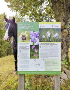 Fotogalerie - Italien Piemont Walliser Alpen