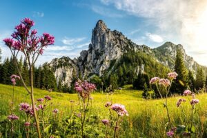 Fotogalerie - Südtirol Dolomiten Lungiarü