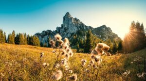 Fotogalerie - Südtirol Dolomiten Lungiarü
