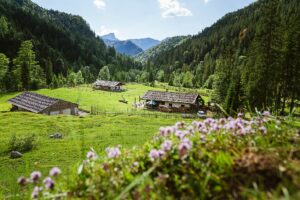 Fotogalerie - Italien Piemont Walliser Alpen