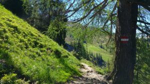 Fotogalerie - Italien Piemont Walliser Alpen