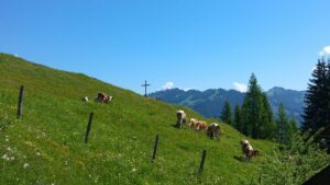 Österreich Grossarltal – Gipfelkreuz bei Alm – Sento Wanderreisen