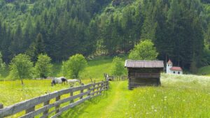 Fotogalerie - Südtirol Dolomiten Lungiarü