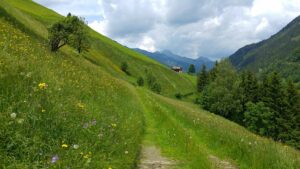 Fotogalerie - Südtirol Dolomiten Lungiarü