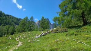 Fotogalerie - Südtirol Dolomiten Lungiarü