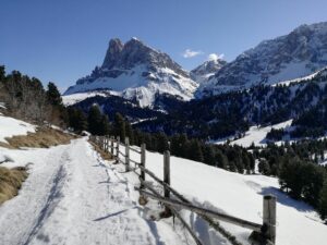 Fotogalerie - Südtirol Dolomiten Lungiarü