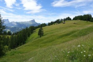 Südtirol Wandern in den Dolomiten – Tour Rit-Wiesen 4 – Sento Wanderreisen