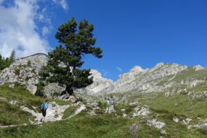 Fotogalerie - Südtirol Dolomiten Lungiarü