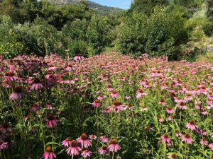 Fotogalerie - Südtirol Dolomiten Lungiarü