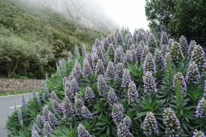 Fotogalerie - Italien Piemont Walliser Alpen