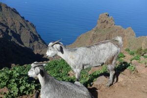 Fotogalerie - Slowenien Wandern im Karst