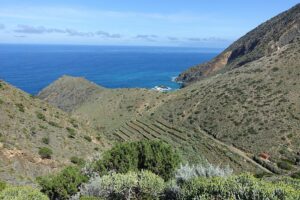 Kanaren Wanderreise La Gomera, Vallehermoso-Wanderung 5 - Sento Wanderreisen