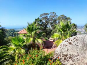 Wanderreise Portugal Atlantikweg Gärten - Sento Wanderreisen