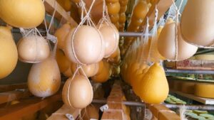 Apulien Koch-Erlebnisreise Käserei - Sento Wanderreisen