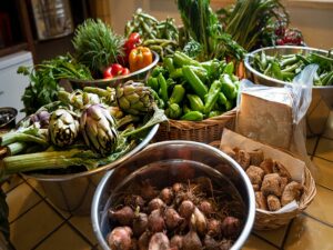 Apulien Koch-Erlebnisreise Zutaten 1 - Sento Wanderreisen