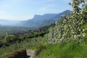 Fotogalerie - Südtirol Dolomiten Lungiarü
