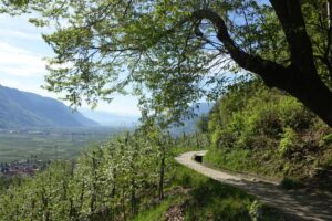 Fotogalerie - Südtirol Dolomiten Lungiarü