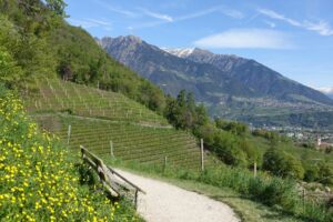 Fotogalerie - Italien Piemont Walliser Alpen