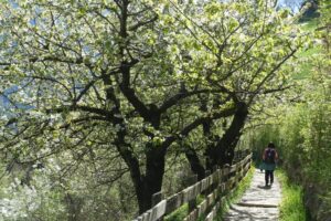 Fotogalerie - Südtirol Dolomiten Lungiarü