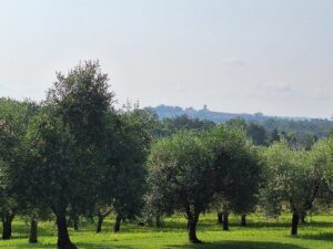Wandern Italien Friaul Agriturismo Garten Ausblick - Sento Wanderreisen