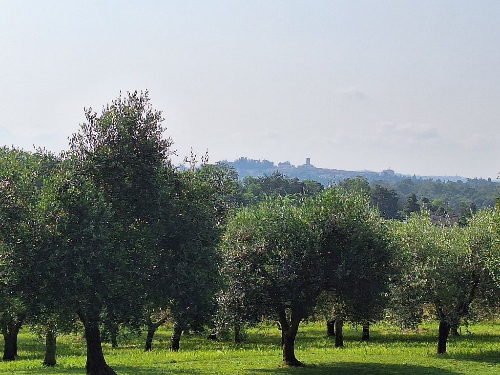 Wandern Italien Friaul Agriturismo Garten Ausblick - Sento Wanderreisen