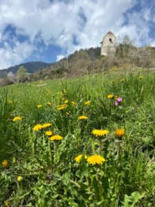 Südtirol Passeier Tal Jaufenburg - Copyright Sabine Altmann