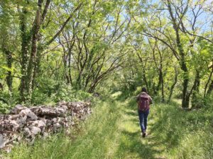 Wandern Slowenien Karst Dorf Volcji Grad Weg Steinmauern - Sento Wanderreisen