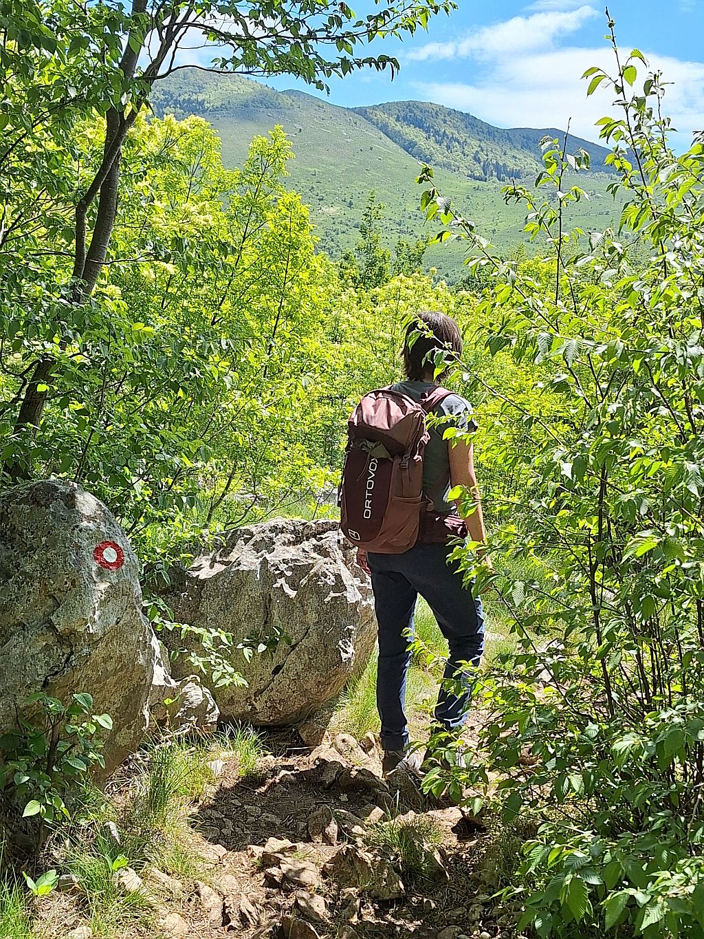 Wandern Slowenien Karst Nanos Wäldchen - Sento Wanderreisen