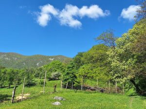 Wandern Slowenien Karst Nanos Wanderstart - Sento Wanderreisen