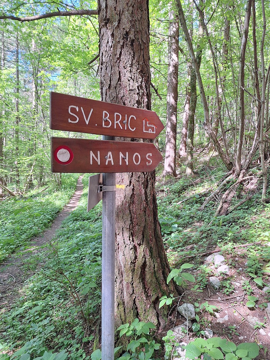 Wandern Slowenien Karst Nanos Wegweise - Sento Wanderreisen