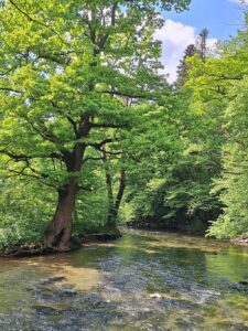 Wandern Slowenien Karst Rakov Fluss - Sento Wanderreisen